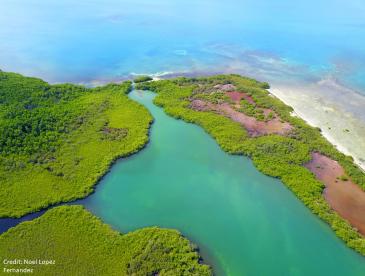 Bird's eye view of the Cuban coast