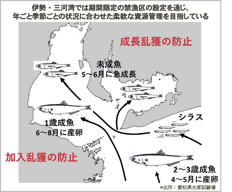 Ise-Mikawa Bay